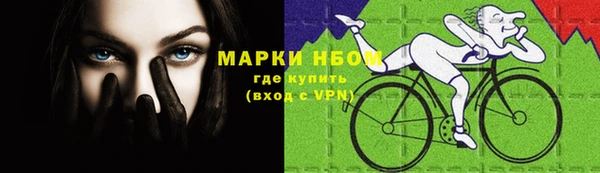 PSILOCYBIN Ладушкин
