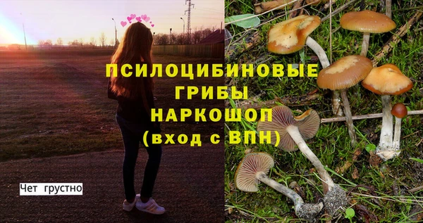 прущая мука Кулебаки