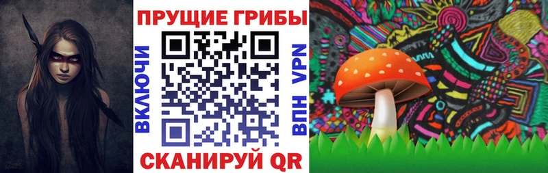 Галлюциногенные грибы мицелий  даркнет состав  Ядрин 
